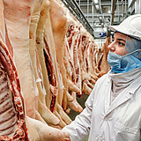 Eine Person in weißem Kittel und mit Mundschutz, Schutzhelm und Handschuhen, prüft einige aufgehängte Schweinehälften in einem Kühlhaus. 